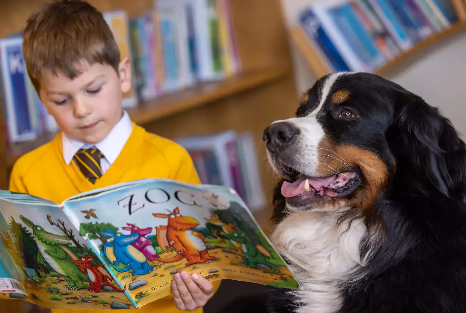 Chapter House pupil reading to Indy, Queen Ethelburga's reading dog