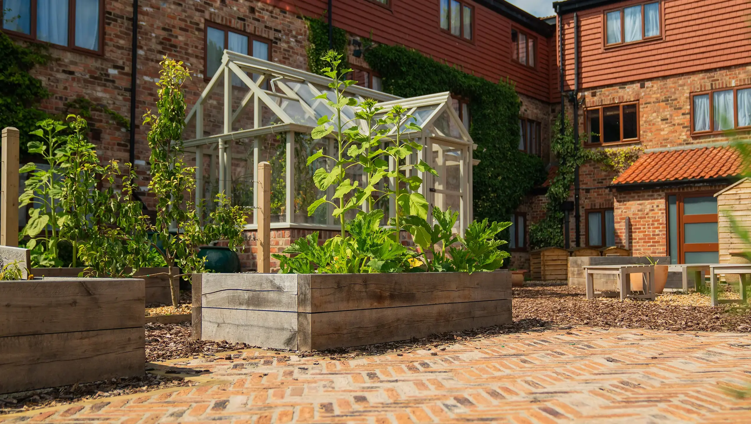 Abbey Chambers' kitchen garden is part of the Harrogate private school's boarding facilities.